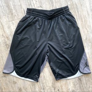 Nike Air Jordan dry fit shorts